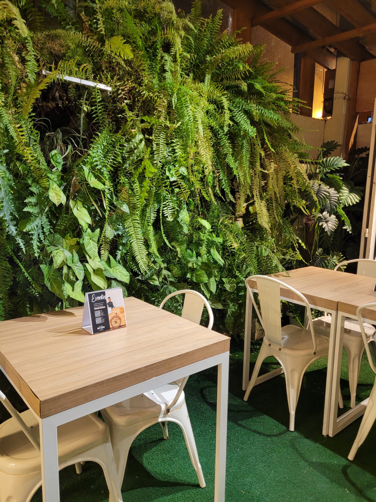 WhatsApp Image 2023-09-06 at 18.38.17.jpeg